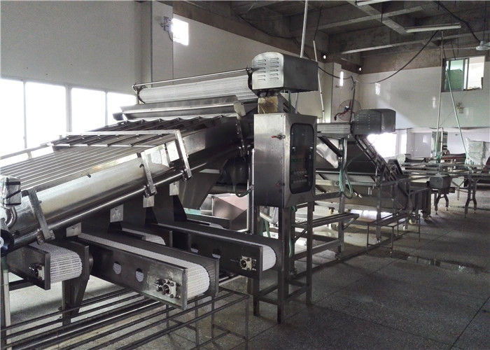 Xiamen Tongzhonghe Imp & Exp Co., Ltd. chaîne de production de fabricant