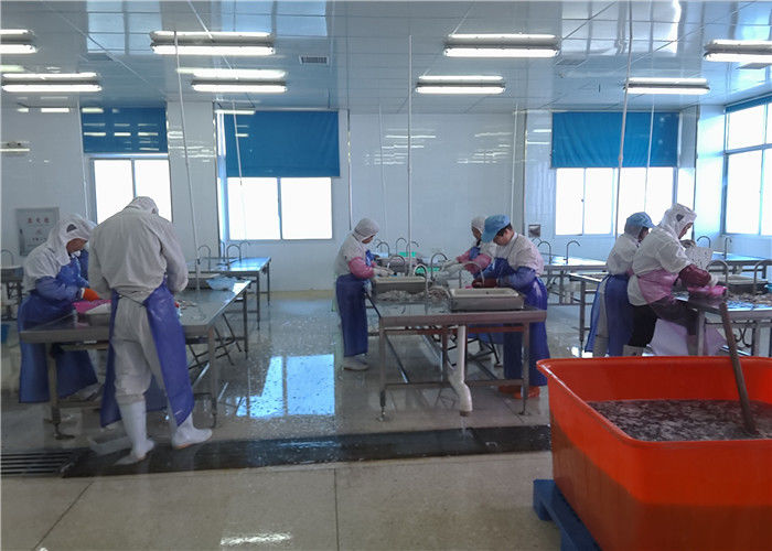 Xiamen Tongzhonghe Imp & Exp Co., Ltd. chaîne de production de fabricant